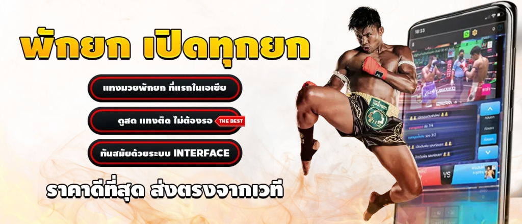 Tiger711 แทงมวย น้ำดี ราคายุติธรรม เปิดทุกคู่เด็ดทุกเวทีดัง